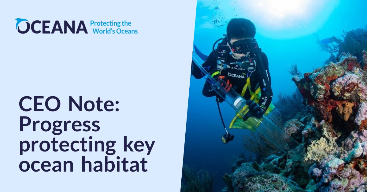 CEO Note: Progress protecting key ocean habitat – Oceana