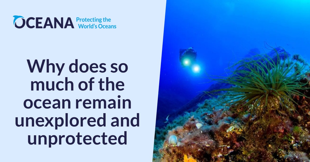 Why does so much of the ocean remain unexplored and unprotected? - Oceana